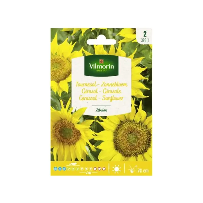 Tournesol Zébulon Vilm