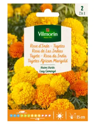 [0998027] Rose D'Inde - Tagètes Naine Variée (Vilm)