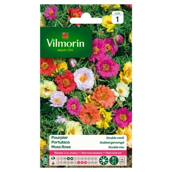 Pourpier Double Varié Vilm