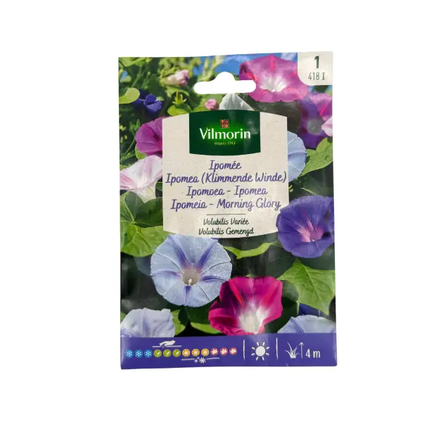 Ipomée Volubilis Variée Vilm