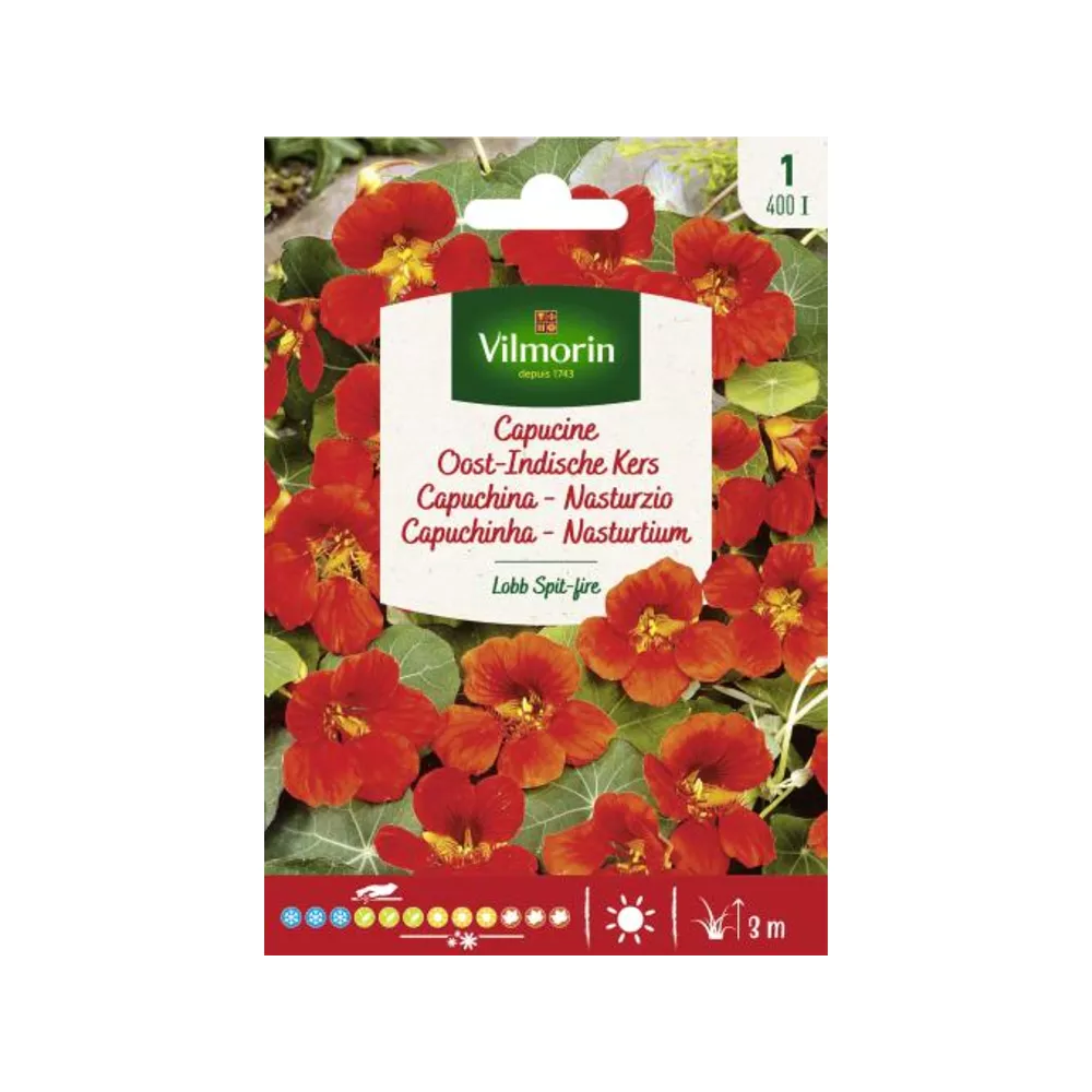 Capucine Lobb Spit-Fire (Vilm)