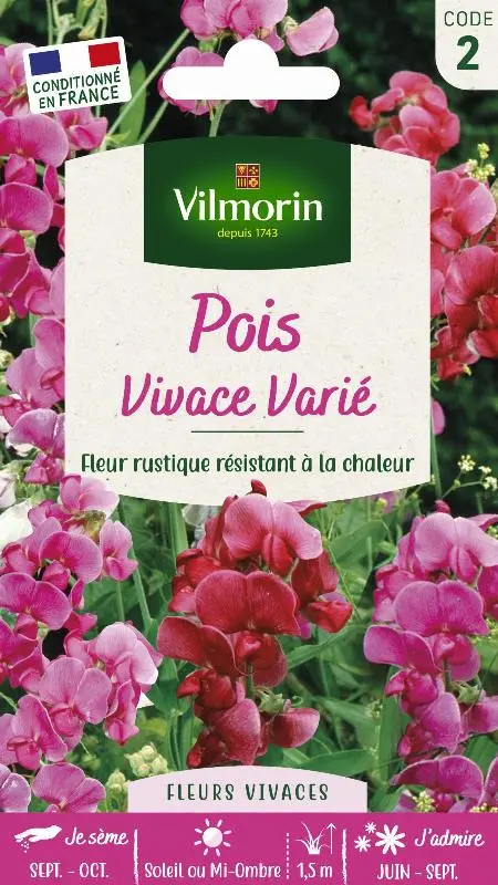 Pois Vivace Varié (Vilm)