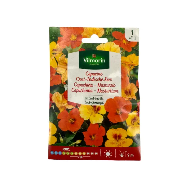 Capucine de Lobb Variée