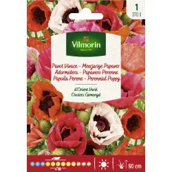 Pavot Vivace d'Orient Varié Vilm