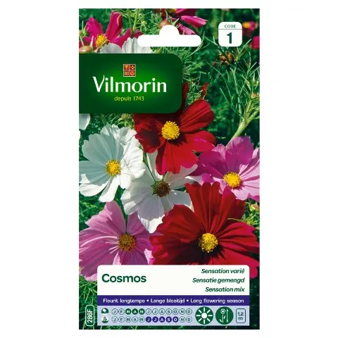 Cosmos Sensation Varié (Vilm)
