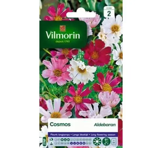 Cosmos Aldebaran Varié Vilm