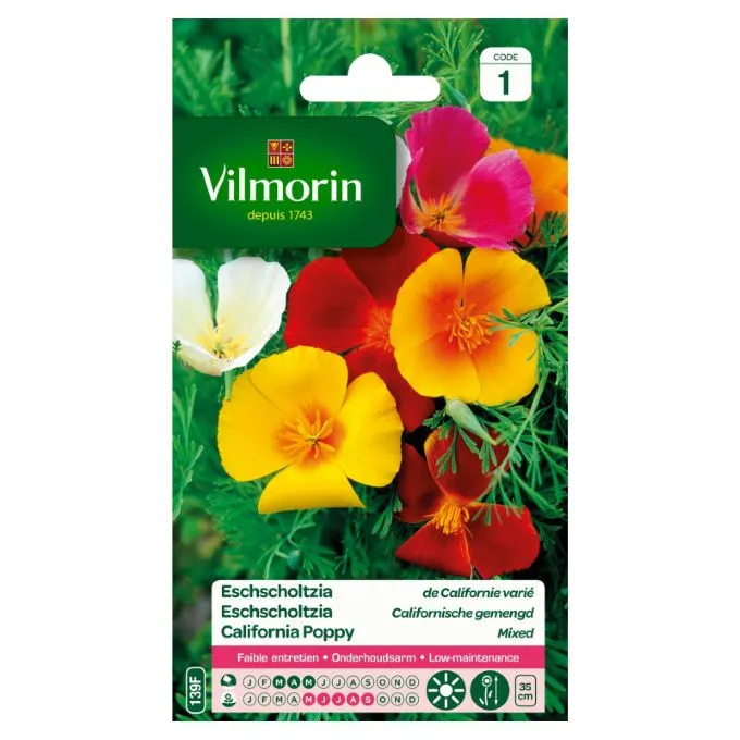 Eschscholzia Varié (Vilm)