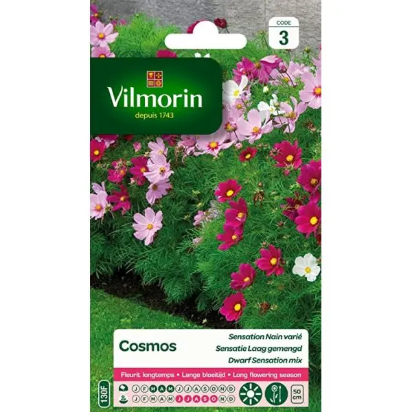 Cosmos Sensation Nain Varié (VILM)
