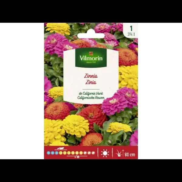 Zinnia de Californie Varié (Vilm)