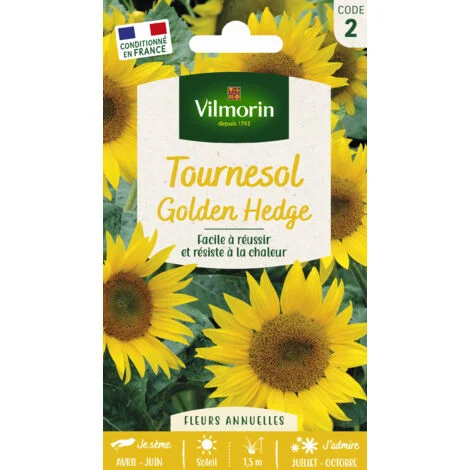 Tournesol Golden Hedge Vilm