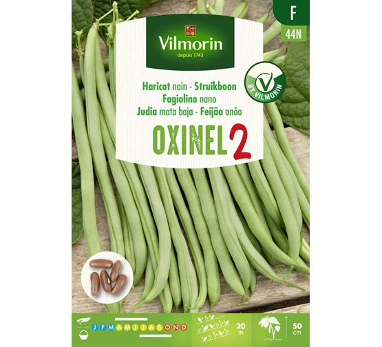 Haricot Nain Oxinel 2 Vilm