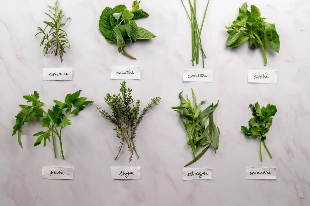 plar3 Plantes Aromatiques 
