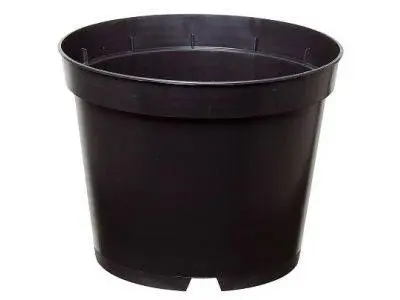 Pot plastic noir D19 - 3 Litres - Mod. Prof.