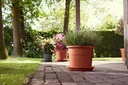 Algarve Cilindro 30cm Pot Plastic Terra