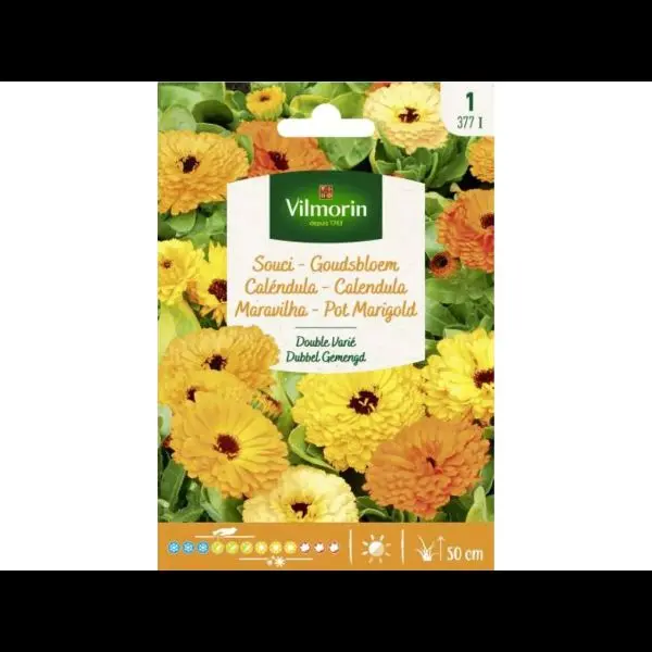 Souci Double Varié (Vilm)