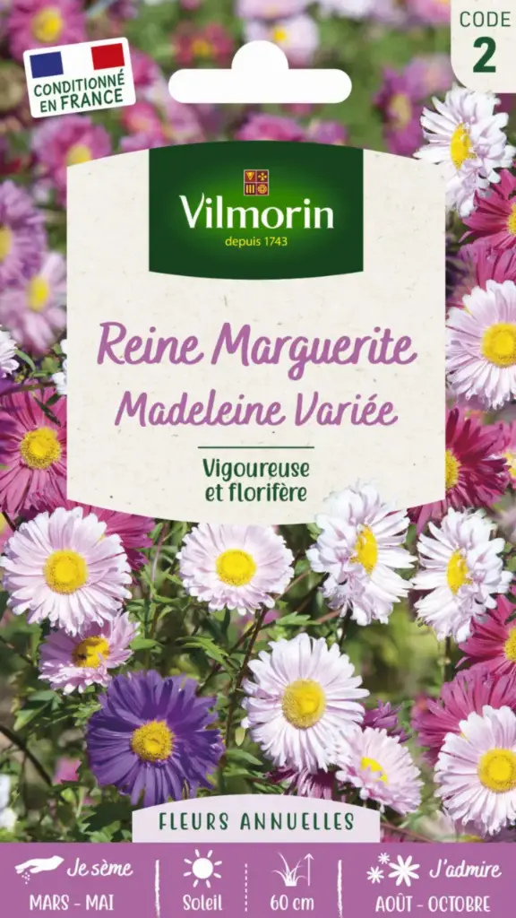 Reine Marguerite Madeleine Variée ( Vilm)