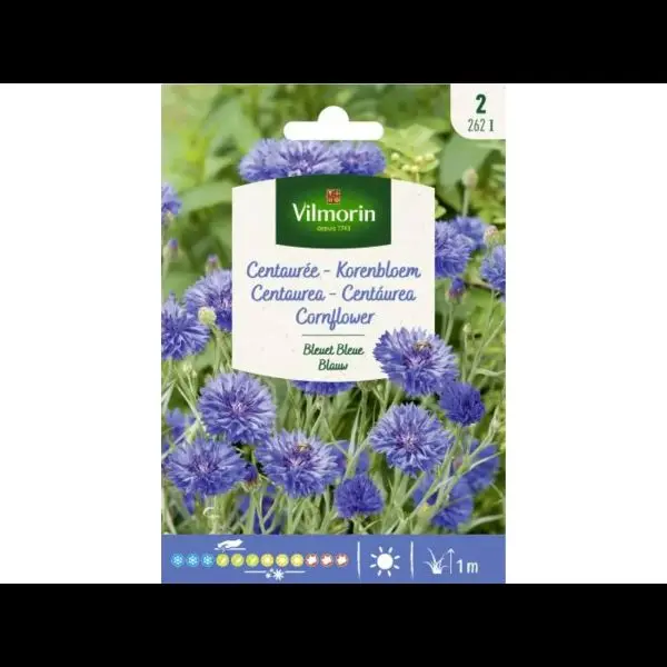 Centaurée Bleuet Bleue ( Vilm)