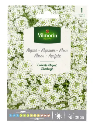 Alysse Corbeille D'Argent (Vilm)