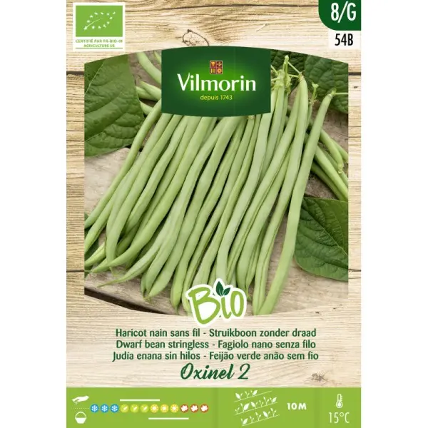 Haricot Nain Sans Fil Oxinel 2 bio ( Vilm)