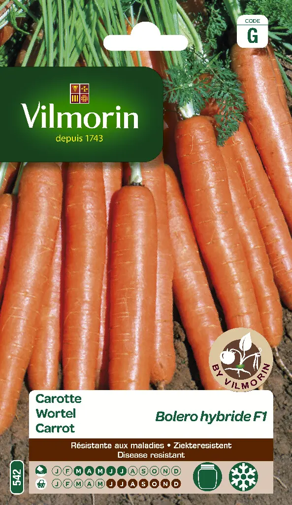 Carotte BOLERO HF1 (Vilm)