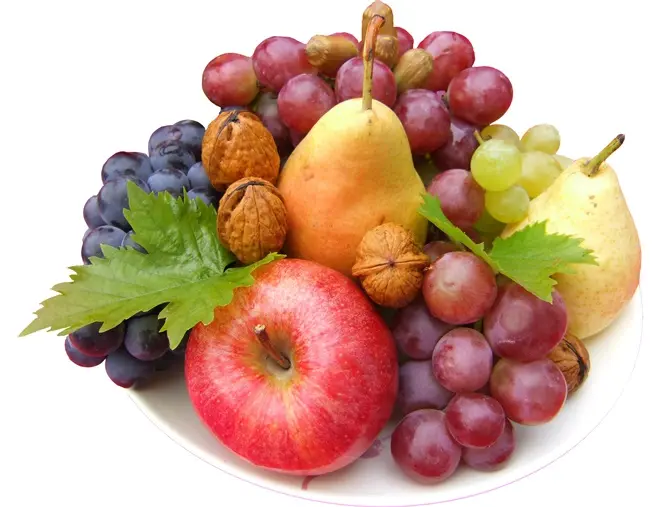 CJR Super Fruits BIO engrais organique 2.5 kg