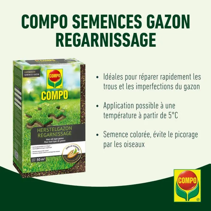 Compo Semences Réparation 2 Kg +/- 100 M²  