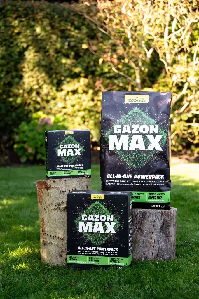 [0999338] Ecostyle GazonMax 4 kg- 80m² 