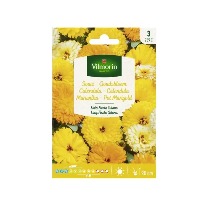 Souci Nain Fiesta Gitana (Vilm)