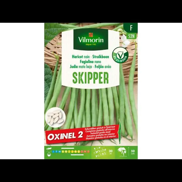 Haricot Nain Skipper- Oxinel 2( Vilm) 