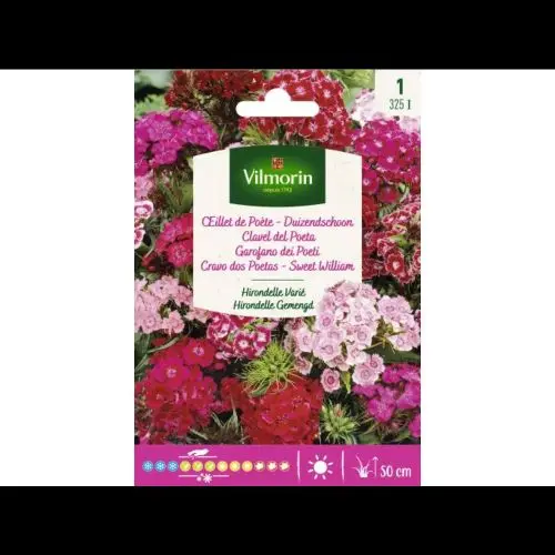 Oeillet De Poête Hirondelle Varié (Vilm)