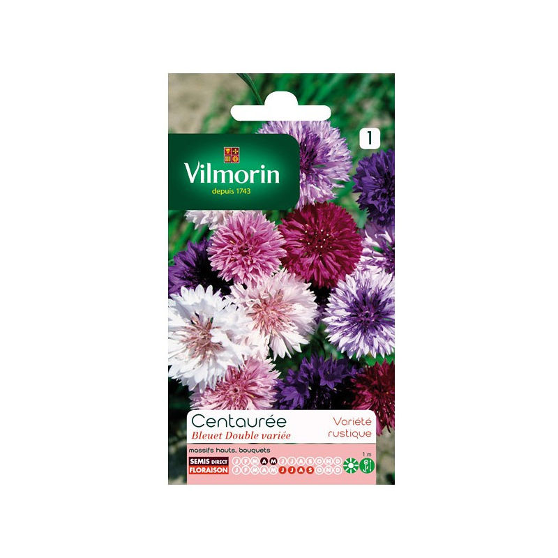 Centaurée Bleuet Double Variée ( Vilm) 