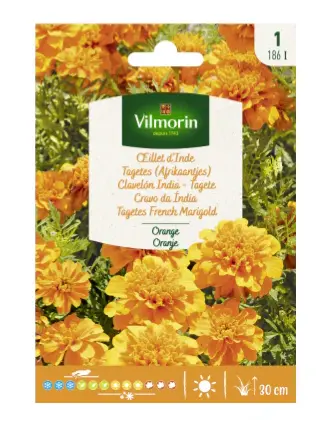 Oeillet D'Inde Tagètes double orange (Vilm)