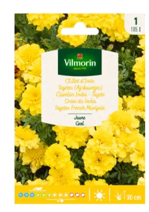 Oeillet D'Inde Tagètes double jaune (Vilm)