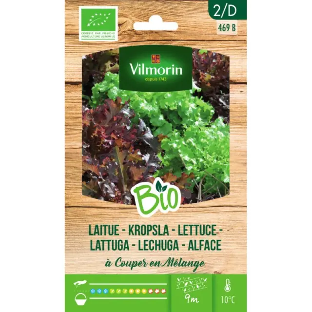 Laitue à couper en Mélange BIO (Vilm)