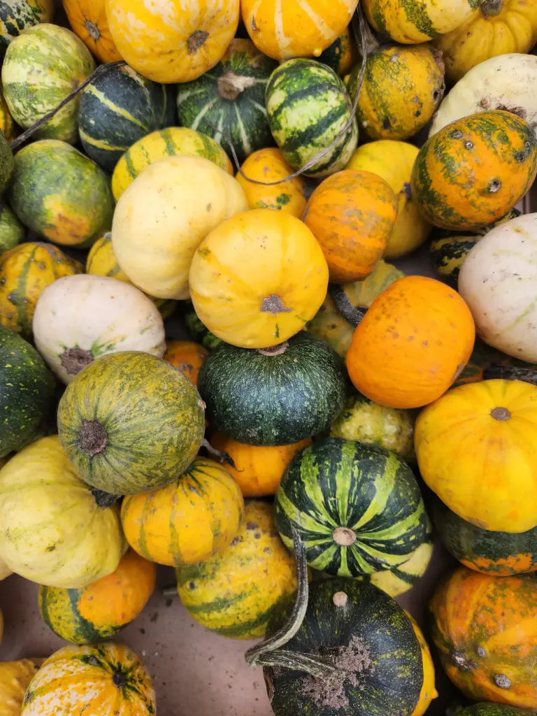 Fruit ornement 