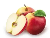 Pommier Mini Galina mini tige +/- 50 cm C5Litres * NAIN.