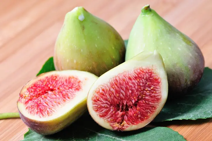 Ficus carica Dame Blanche Demi Tige Pot C10 **Figuier bifère, autofertile et rustique ** 