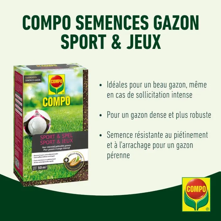 Compo Semences Sport et jeux 1 Kg +/- 50 M² 