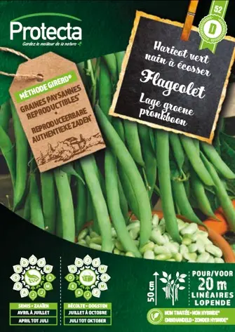 [1000074] Flageolet Nain (Protecta D)