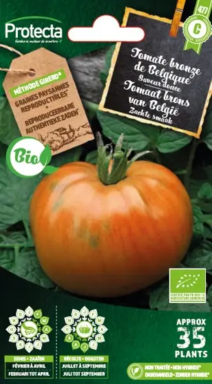 [1000076] Tomate Bronze de Belgique (Protecta C)