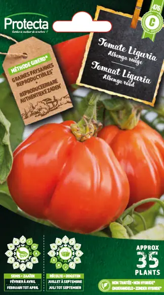 [1000078] Tomate Liguria(Protecta C)