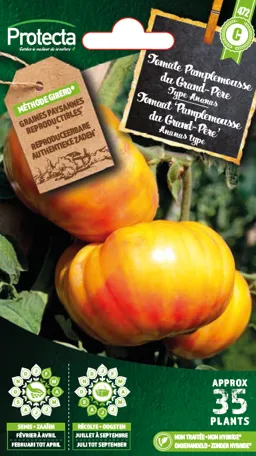 Tomate Pamplemousse du Grand-Père(Protecta C) 