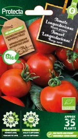 Tomate Languedocienne(Protecta C)  