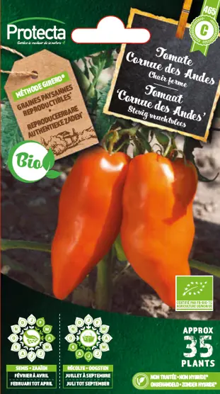 [1000092] Tomate Cornue des Andes(Protecta C)    
