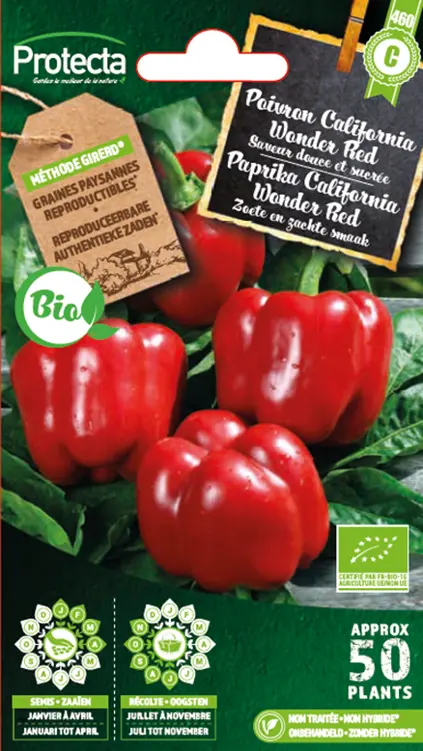 [1000102] Poivron California Wonder Red (Protecta C)         