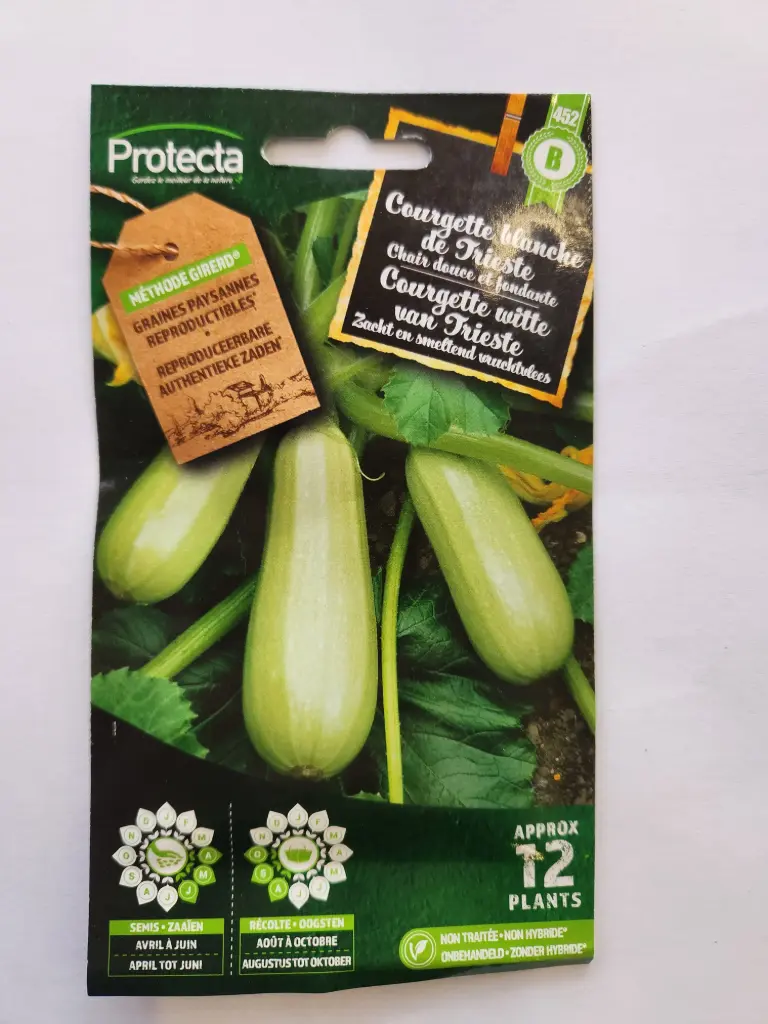 [1000104] Courgette blanche de Trieste (Protecta B)          