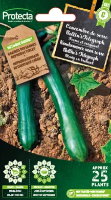 Concombre de serre Rollin's Telegraph(Protecta C)            