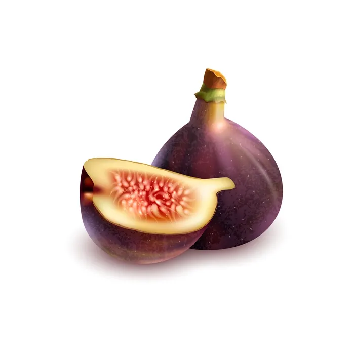 Ficus carica Violette d'Argenteuil buisson Pot C5Litres ** Figuier bifère **