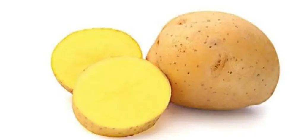 [1000253] PDT Otolia  1,5 Kg Cal. 28 35mm