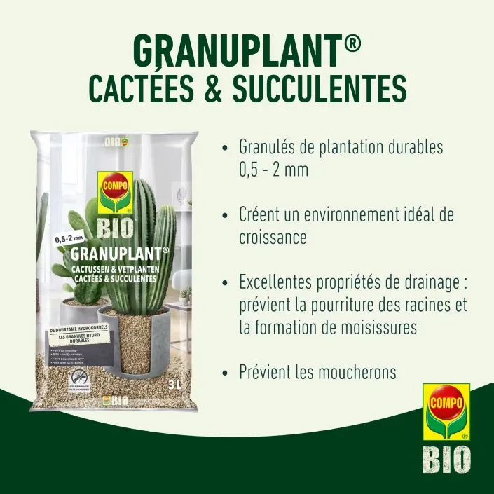 [1000394] Compo Granuplant Cactées Succulentes 3 L Pierre Ponce Naturelle BIO ** Paillage et drainant **